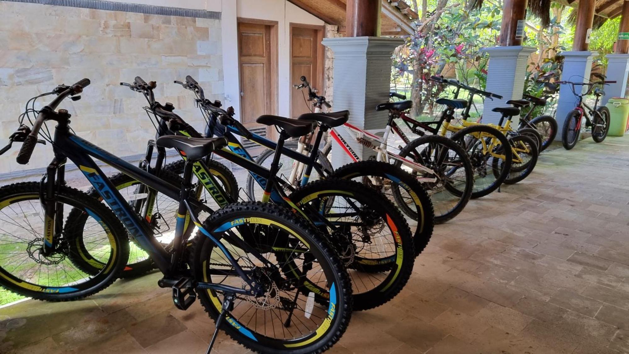 Istana Ombak Eco Resort パチタン エクステリア 写真